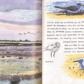 LA-CAMARGUE.jpg