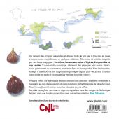 CV1-LE_PARC_NATIONAL_DE_PORT_CROS_HORS_SAISON-copy.jpg